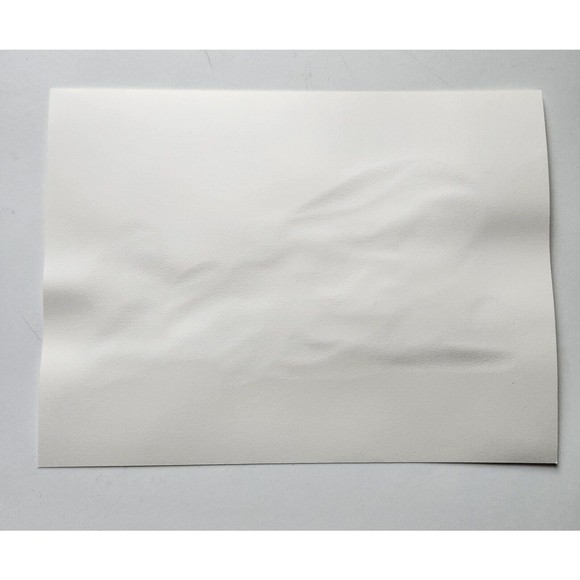 Octopus Watercolor Painting Original 9x12 Handmade Watercolor Paper - Picture 5 of 5